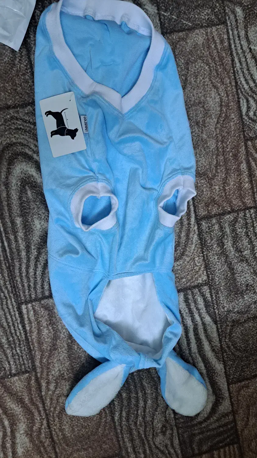 لباس و پاپوش سگ|لوازم جانبی حیوانات|اصفهان, جلفا|دیوار