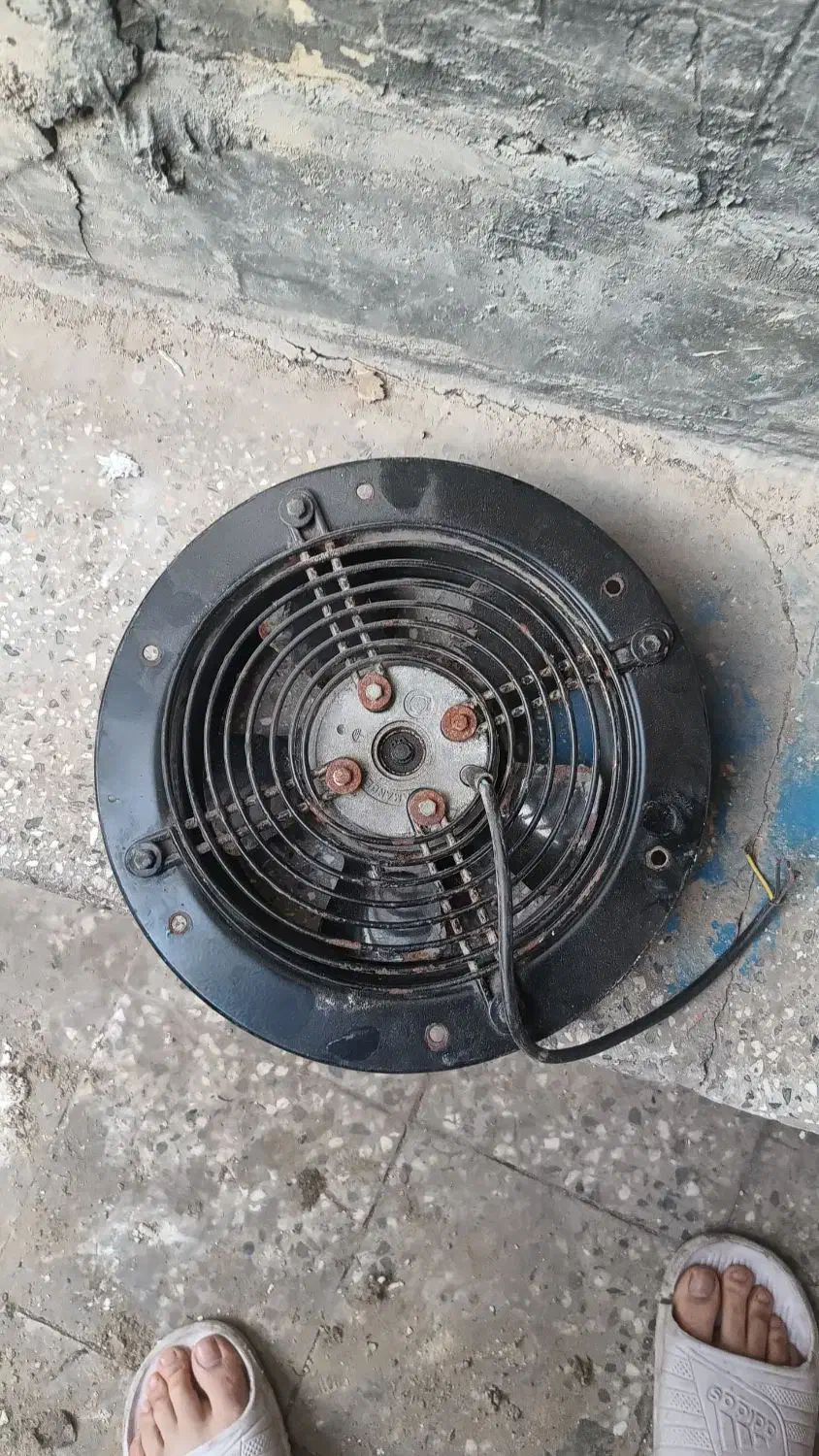 فن صنعتی معاوضه با قناری|پنکه و تصفیهکنندهٔ هوا|دزفول, |دیوار