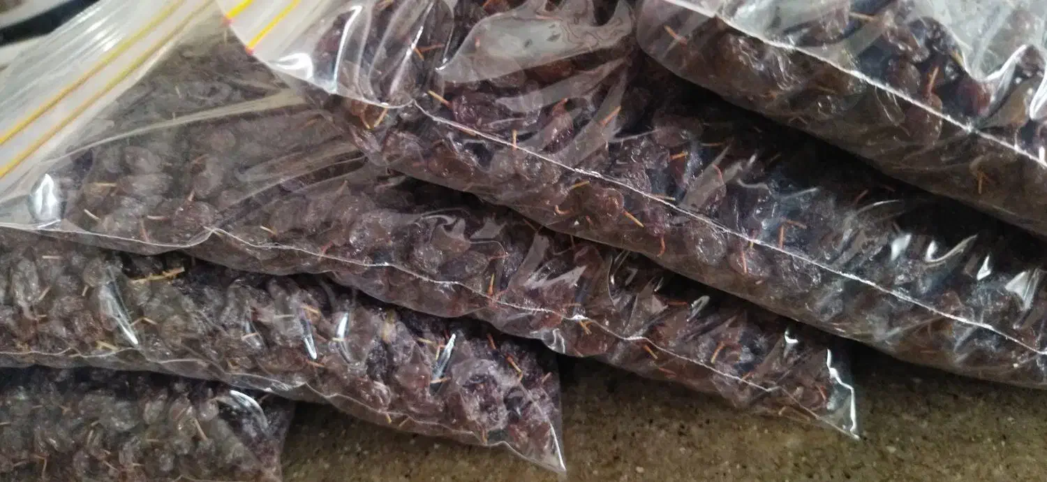 کشمش آفتابی دانه درشت امسالی|خوردنی و آشامیدنی|عجب شیر, |دیوار