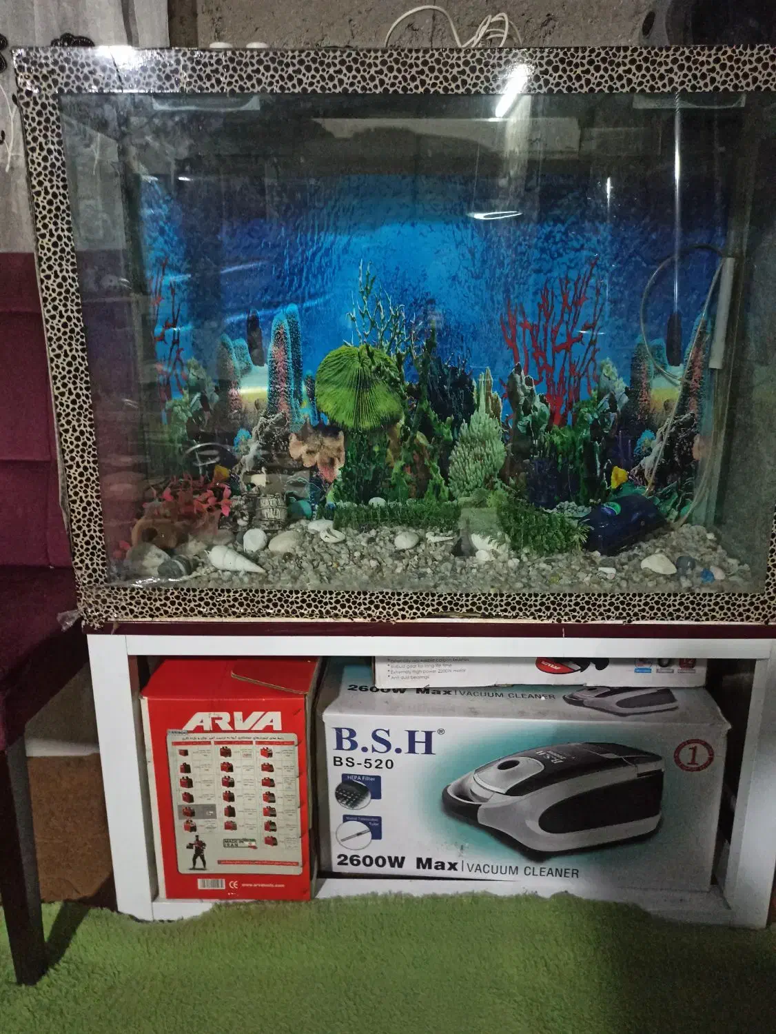 آکواریوم|ماهی|لنگرود, |دیوار