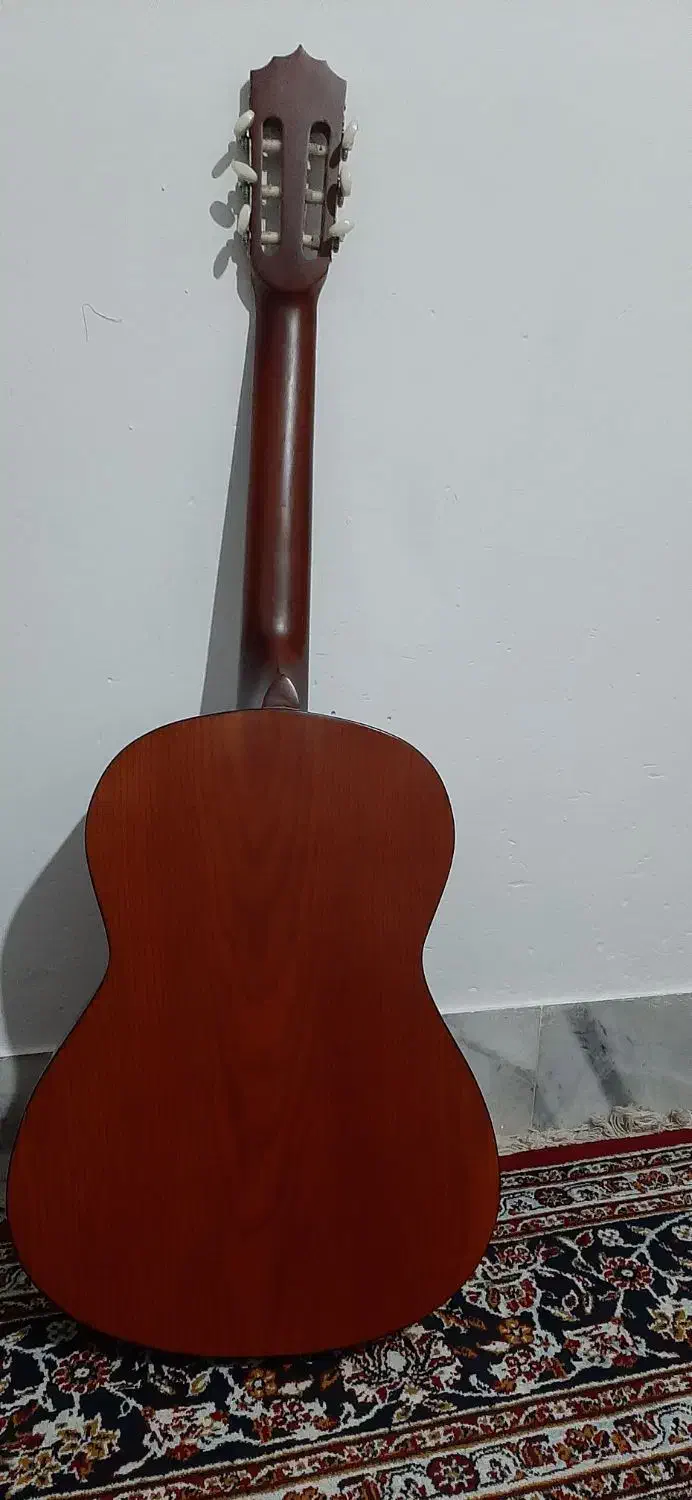 گیتار|گیتار، بیس، امپلیفایر|اسفراین, |دیوار