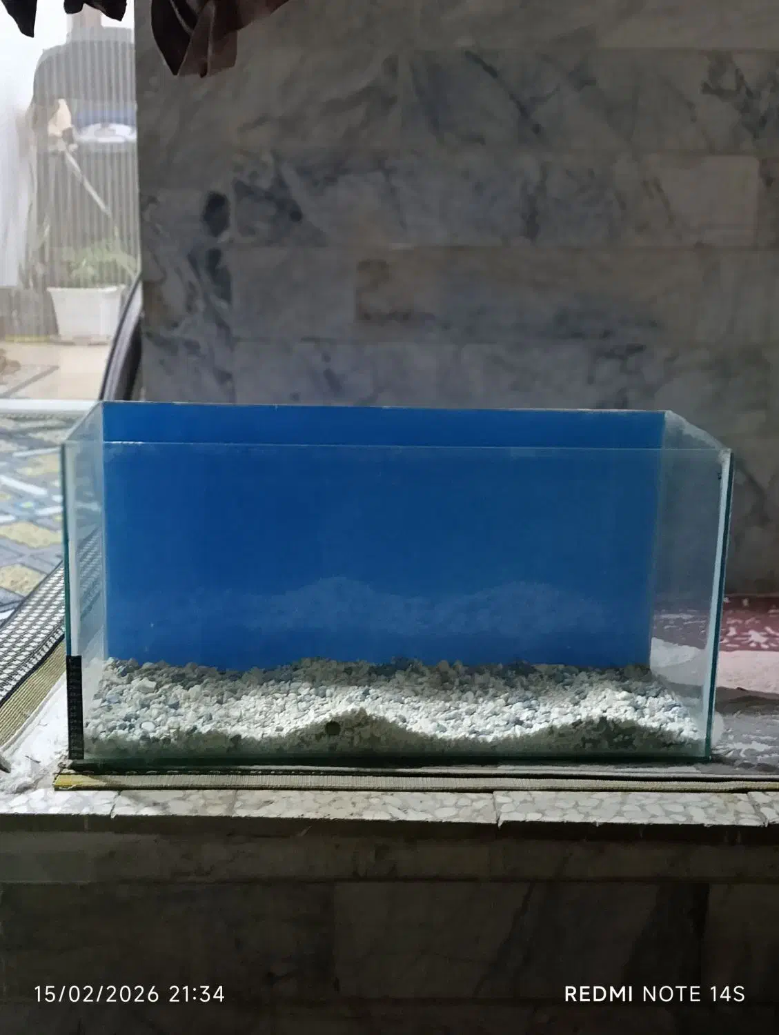 اکواریوم|ماهی|رشت, دخانیات|دیوار