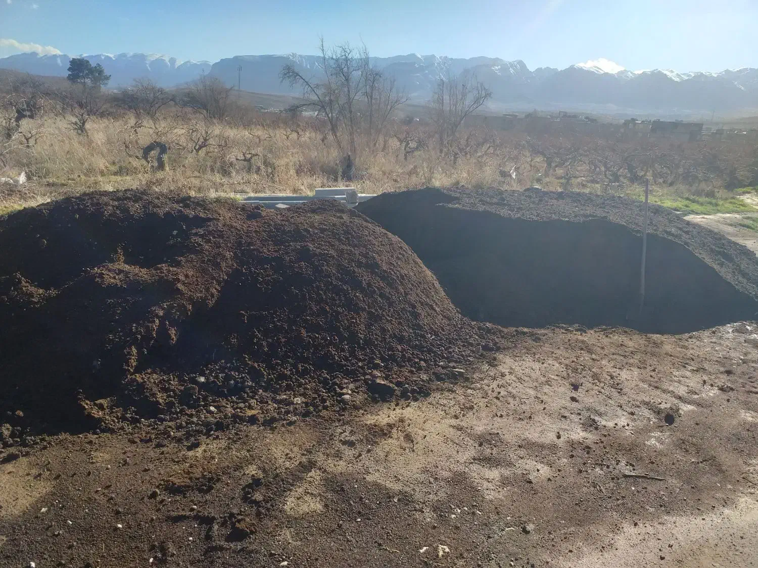 کودحیوانی|خدمات باغبانی و درختکاری|شیراز, گویم|دیوار