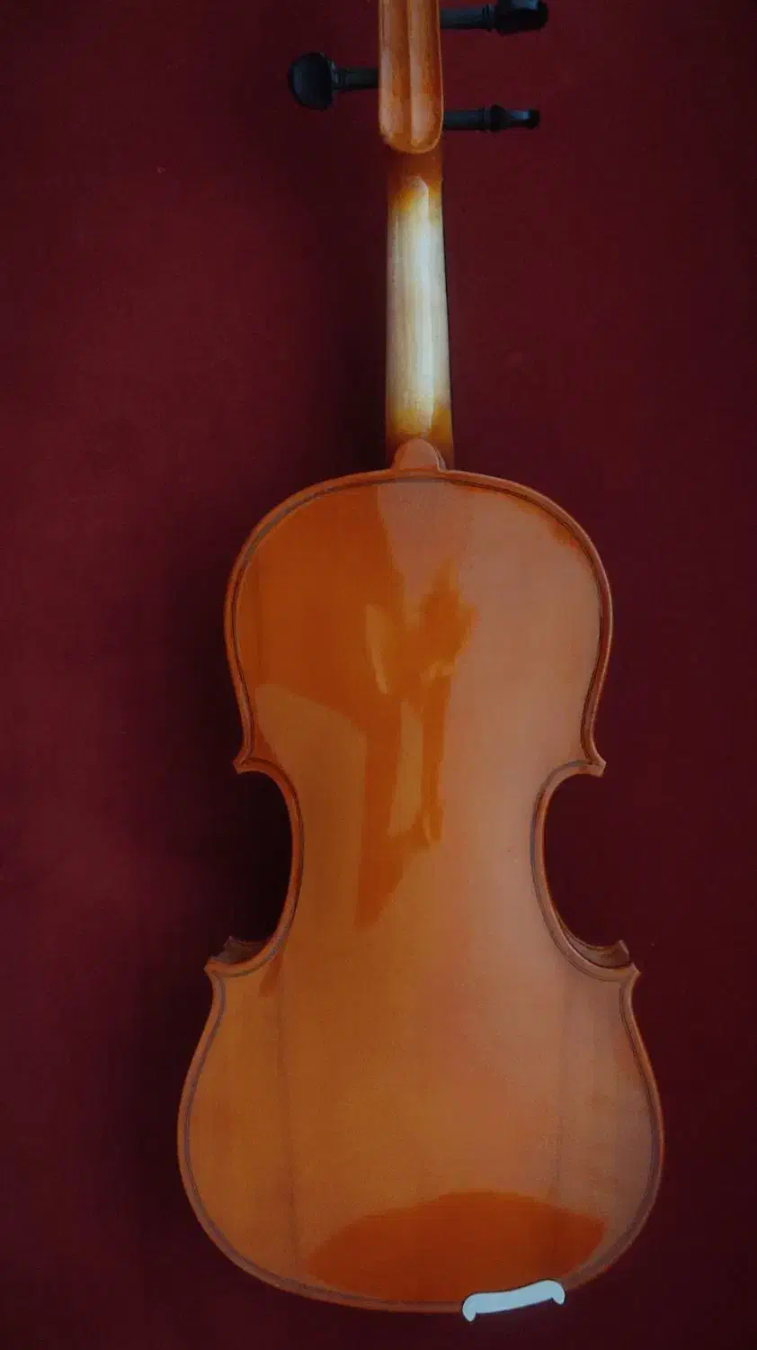 ویولن خوش رنگ TF student mode 4/4|ویولن|اصفهان, تخت فولاد|دیوار