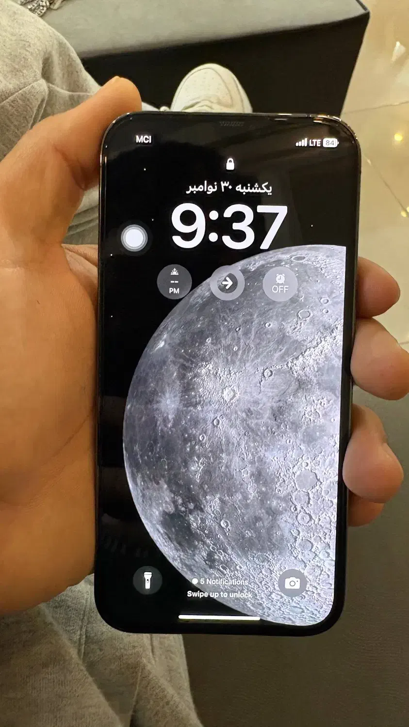 12پرو|موبایل|رشت, کاکتوس|دیوار