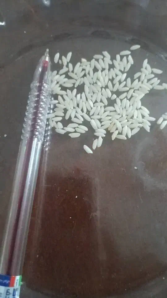 برنج عنبربو|خوردنی و آشامیدنی|قزوین, |دیوار