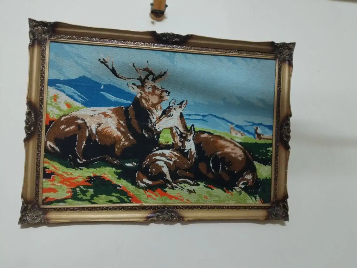 تابلو|تابلو، نقاشی، عکس|گنبد کاووس, |دیوار