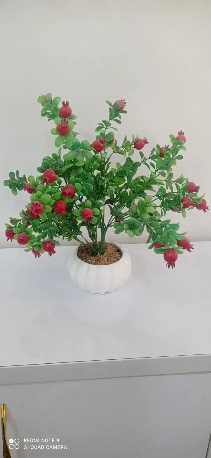 درختچه انار|گل مصنوعی|ایلام, |دیوار