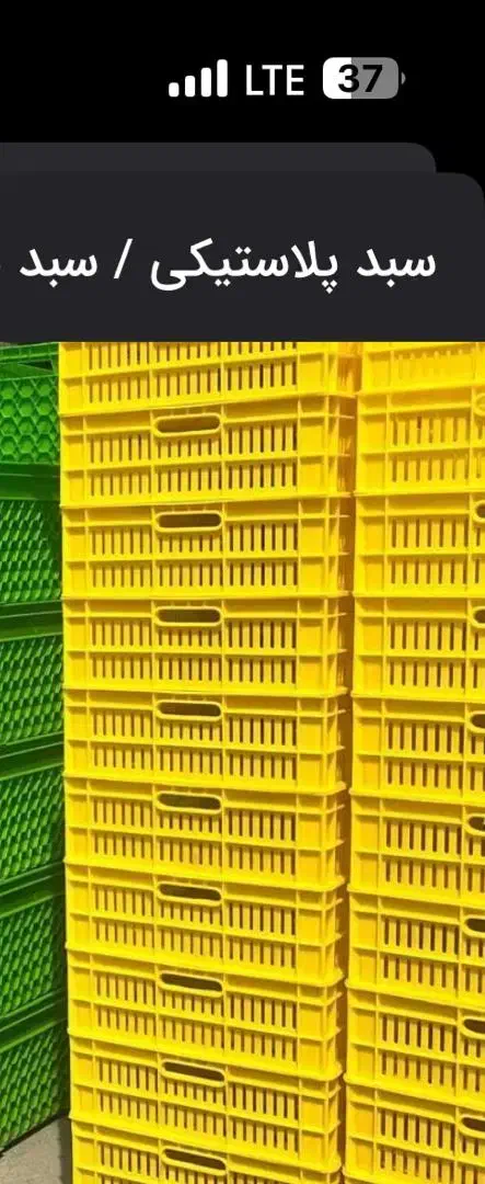 سبد میوه / سبد صنعتی|عمدهفروشی|تهران, یافتآباد|دیوار