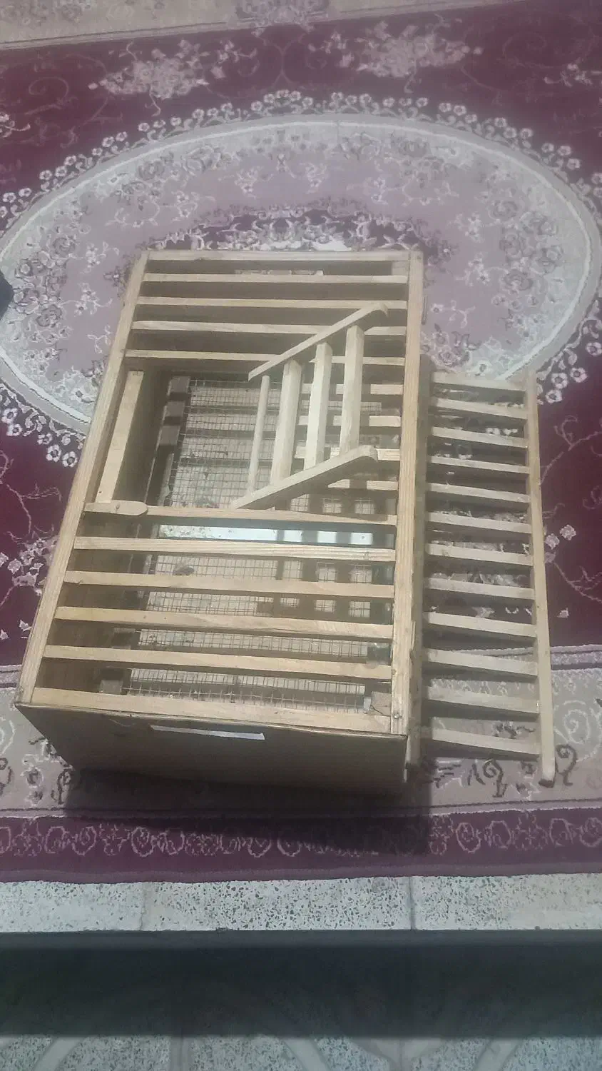 لانه کبوتر|پرنده|باروق, |دیوار