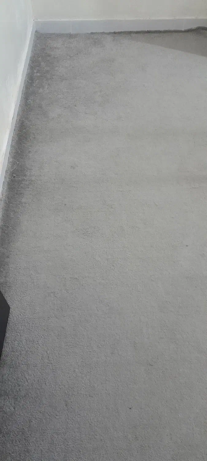 پالاز موکت|موکت|اهواز, سپیدار|دیوار