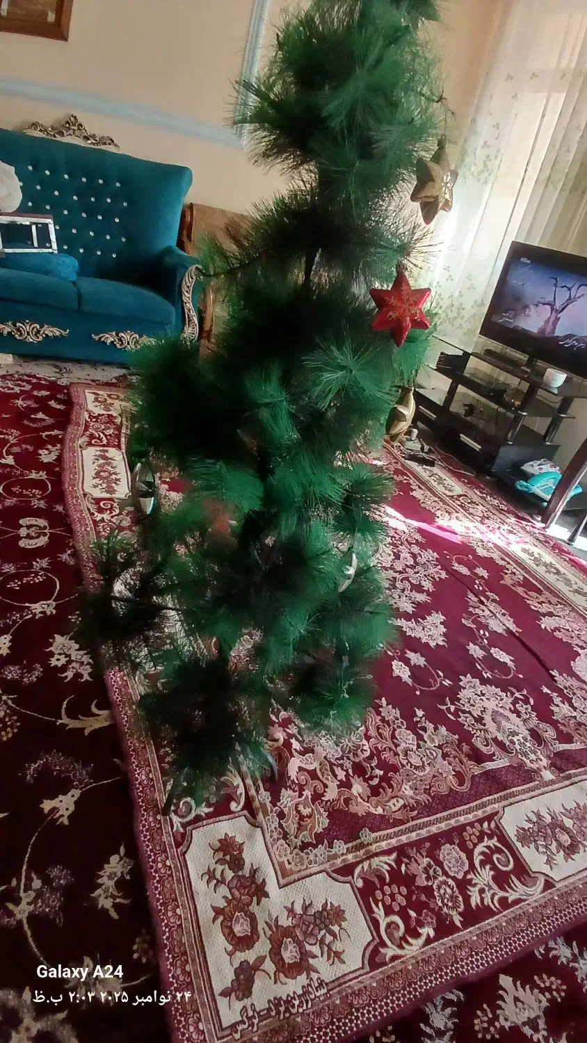 درختچه ی کریسمس|گل مصنوعی|شیراز, شهرک امیر کبیر|دیوار