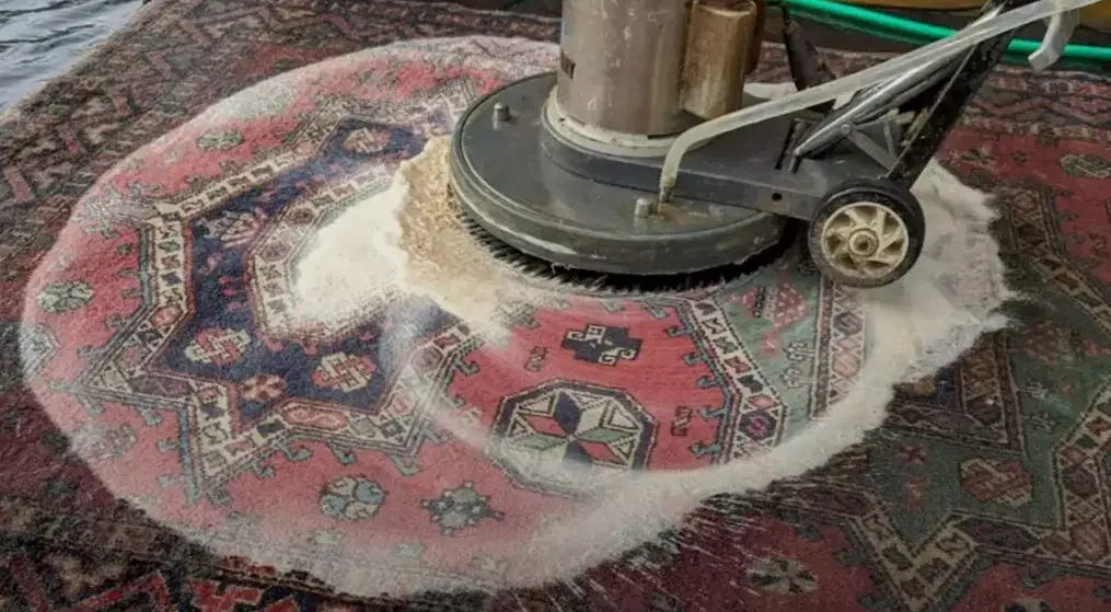 قالیشویی و مبل شویی پاکشو|خدمات نظافت|صدرا-فارس, فاز ۱|دیوار