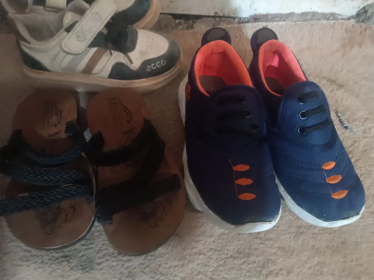 کفش|کیف، کفش، کمربند|برازجان, |دیوار