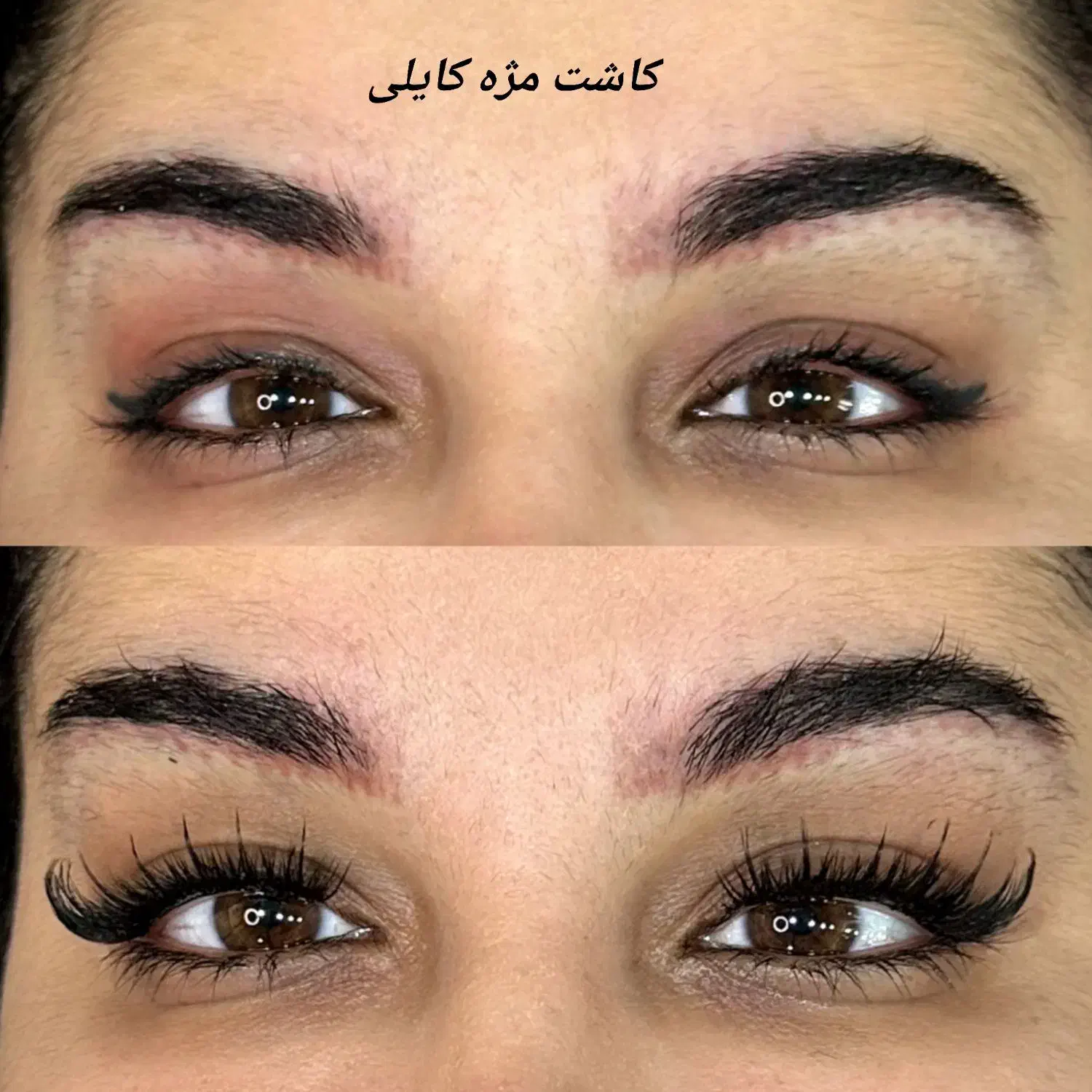 مدل اکستنشن و کاشت مژه و لیفت|خدمات آرایشگری و زیبایی|تهران, سازمان برنامه شمالی|دیوار