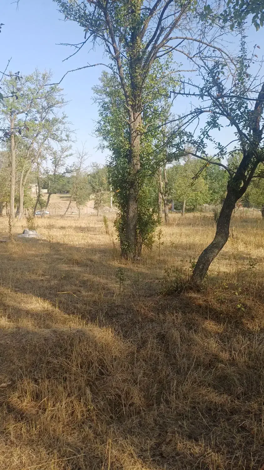 باغ محدوده روستای باروق|فروش دفتر صنعتی، کشاورزی، تجاری|اردبیل, |دیوار