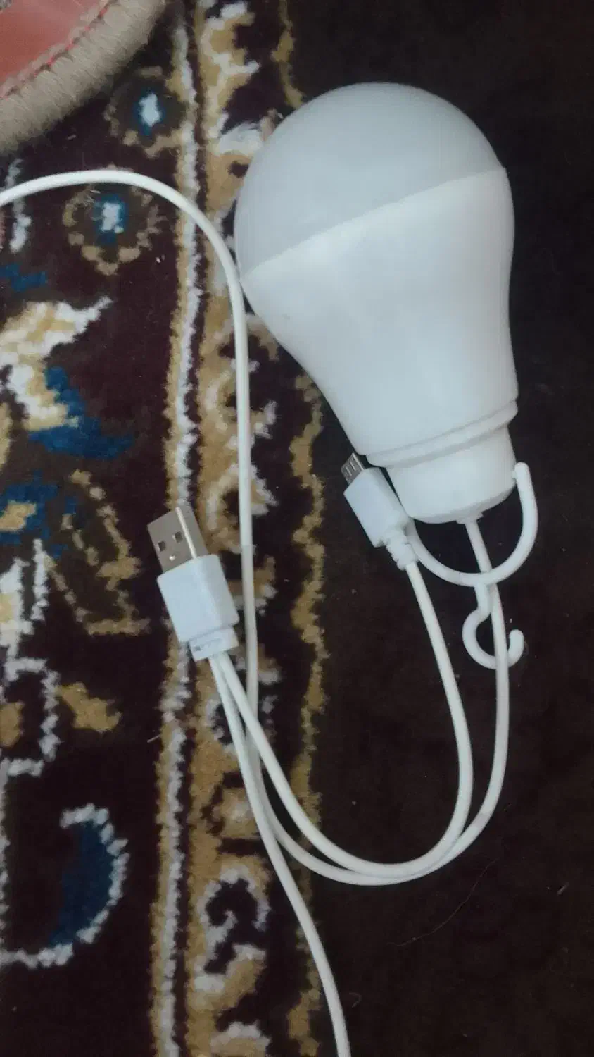 سینه ای درجه یک ماده ۲۰۰ و توقی سرحال دوری ۳۰۰|پرنده|شوشتر, |دیوار