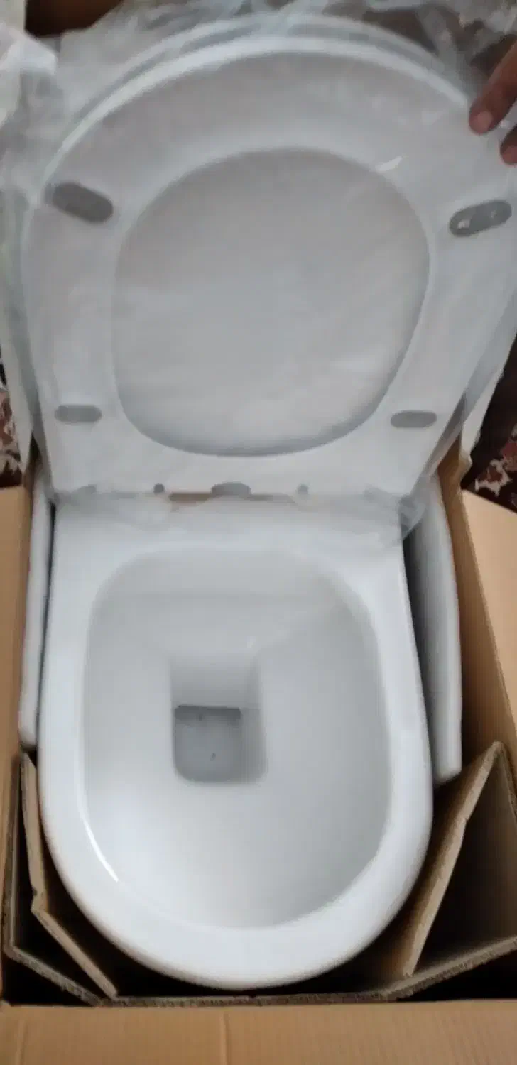 توالت فرنگی گلسار|لوازم سرویس بهداشتی|کاشان, کارگر|دیوار