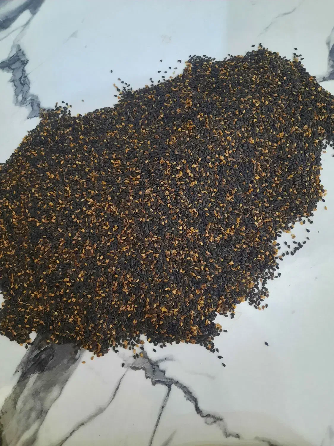 کنجد|عمده‌فروشی|تبریز, |دیوار