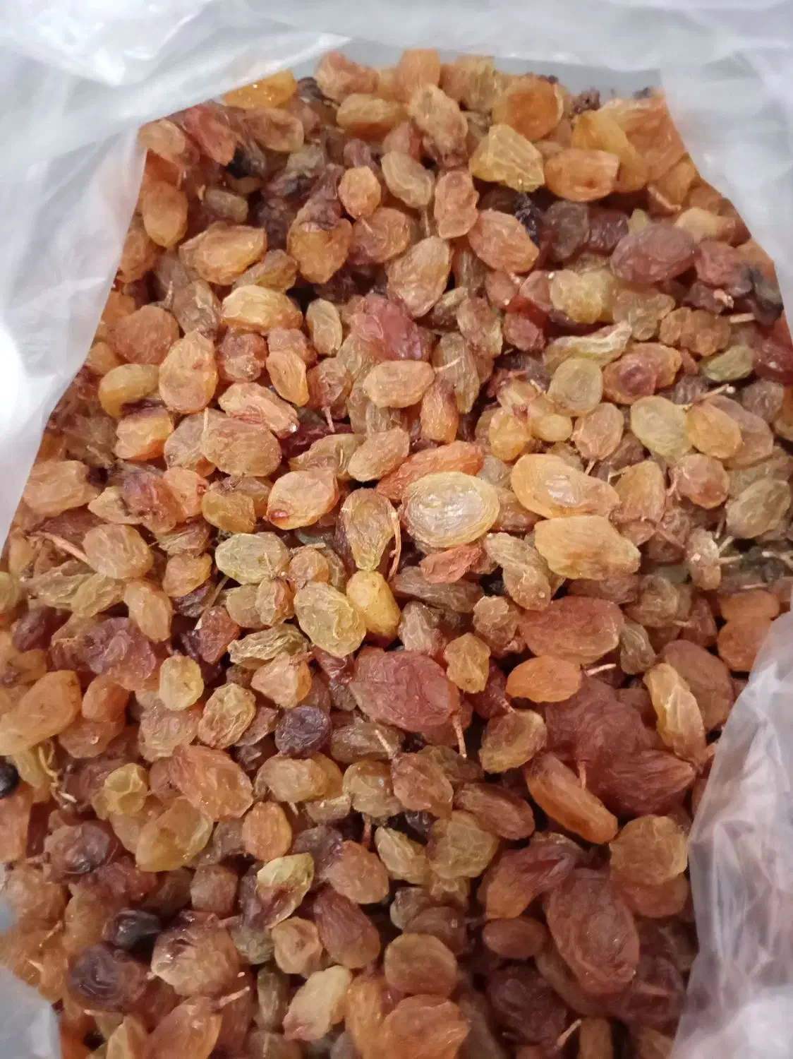 کشمش قوچان|خوردنی و آشامیدنی|چناران, |دیوار