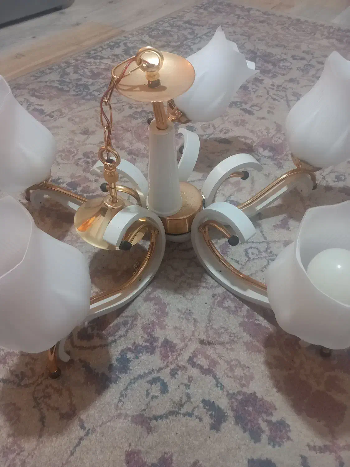 لوستر۵شعله لاله سالم|لوستر و چراغ آویز|تهران, سبلان (لشگر)|دیوار