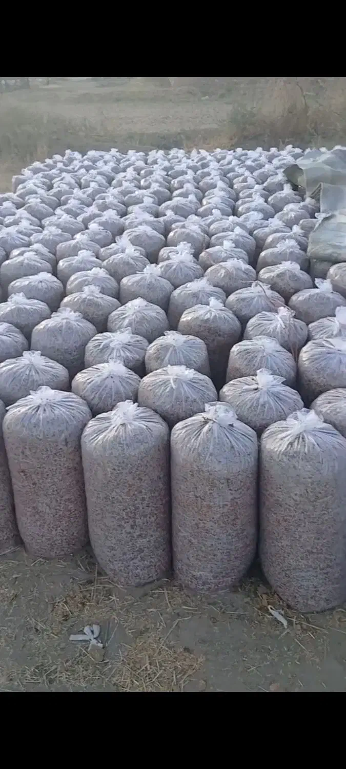 فروش عمده خوراک دام|لوازم جانبی حیوانات|اردبیل, |دیوار