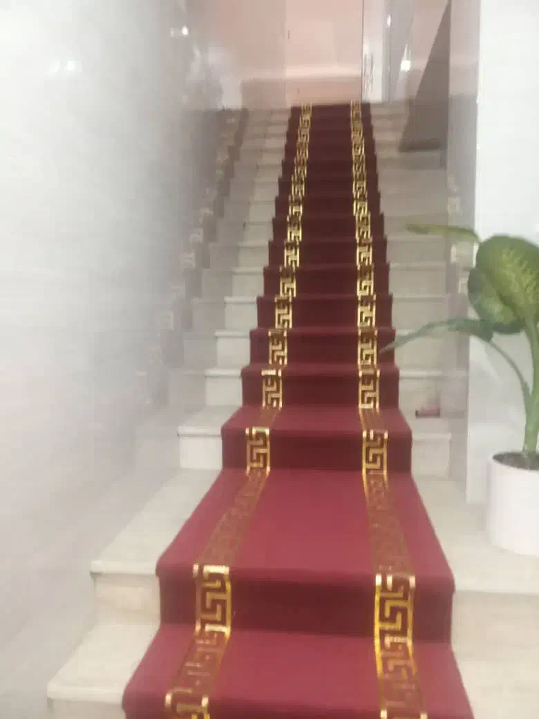 موکت و فرش تشریفات|موکت|بندرعباس, |دیوار