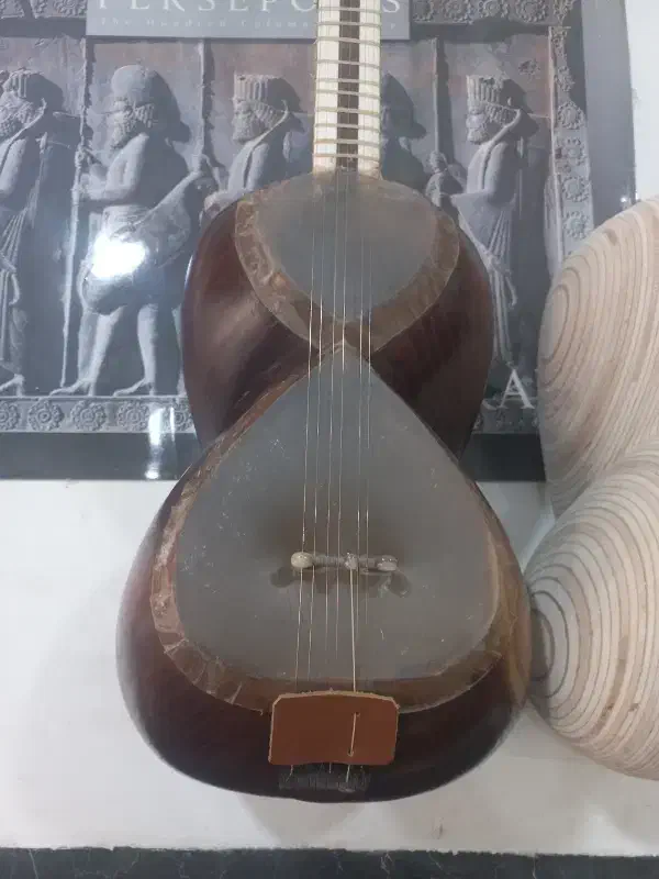 تار حرفه ایی|سازهای سنتی|نظرآباد, نظرآباد|دیوار