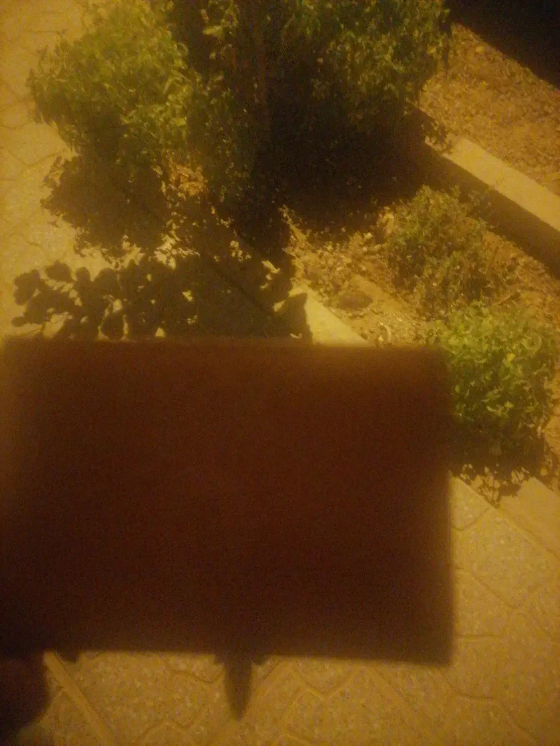 گمشده|اشیا|اردکان, |دیوار