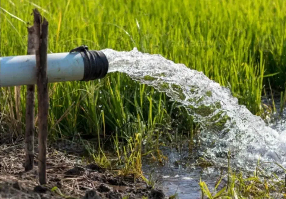 آب کشاورزی دهنو|خدمات باغبانی و درختکاری|نیشابور, دهنو|دیوار