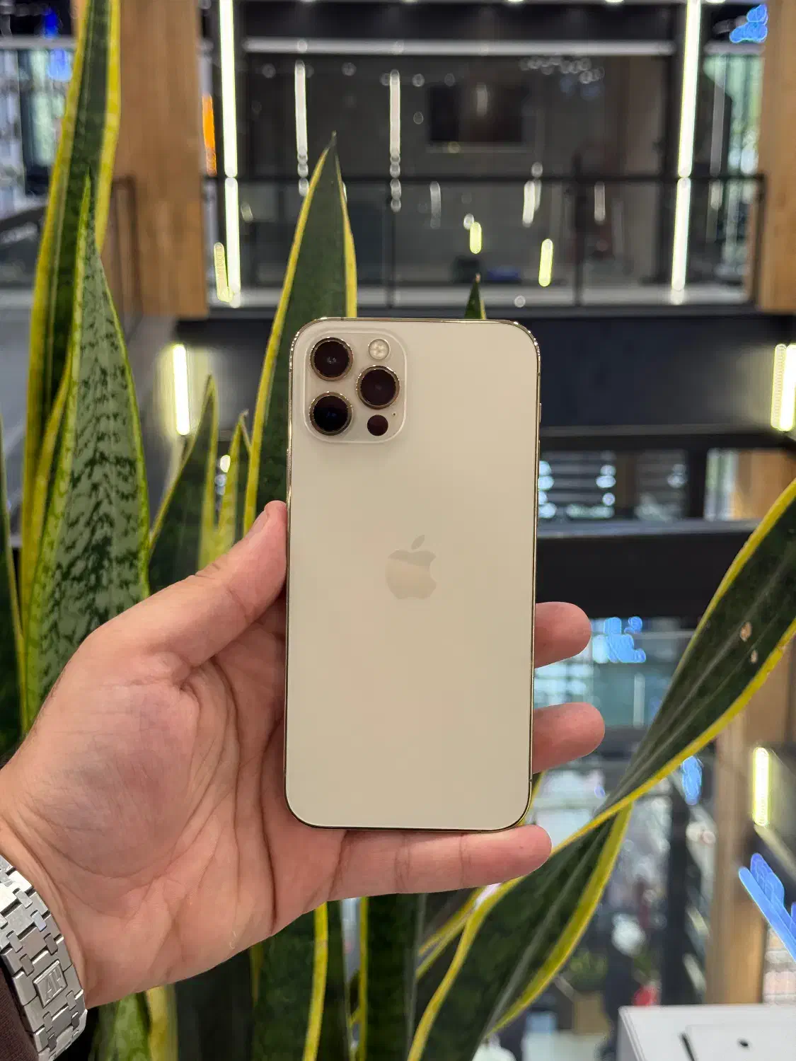 آیفون ۱۲ پرو|موبایل|رشت, چله خانه|دیوار