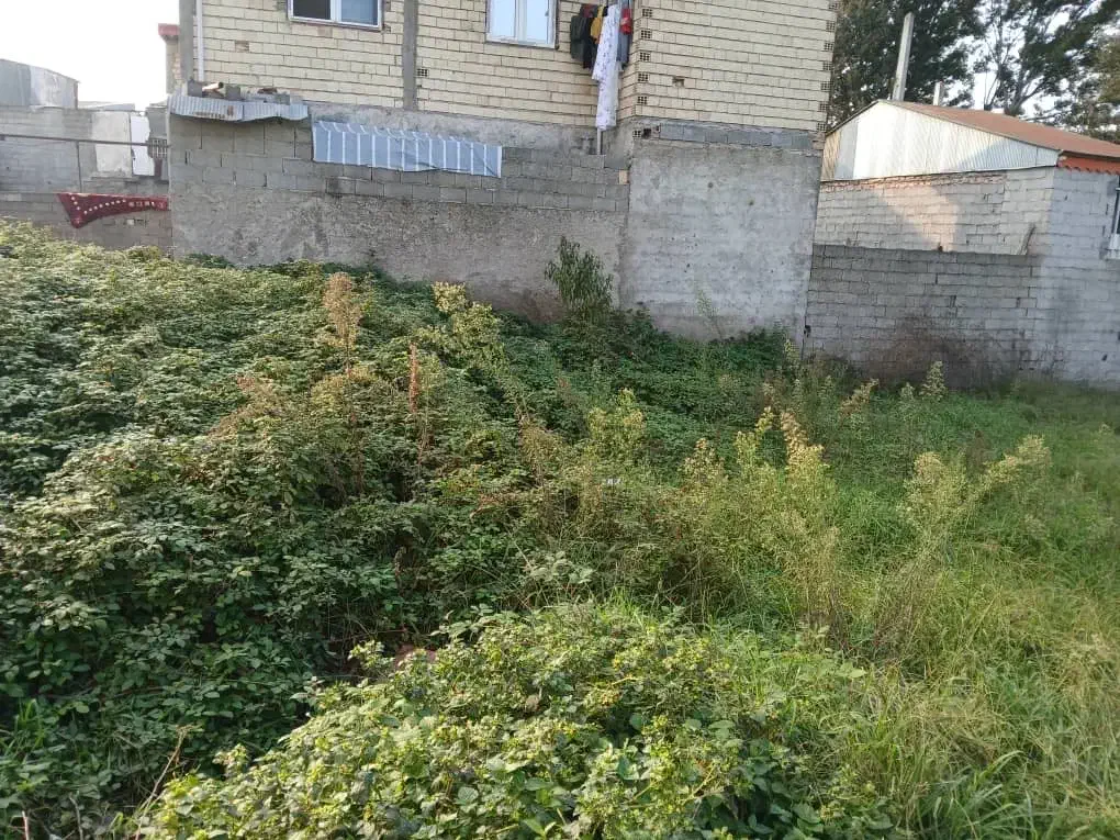 فروشی|فروش زمین و ملک کلنگی|رشت, حافظ آباد|دیوار