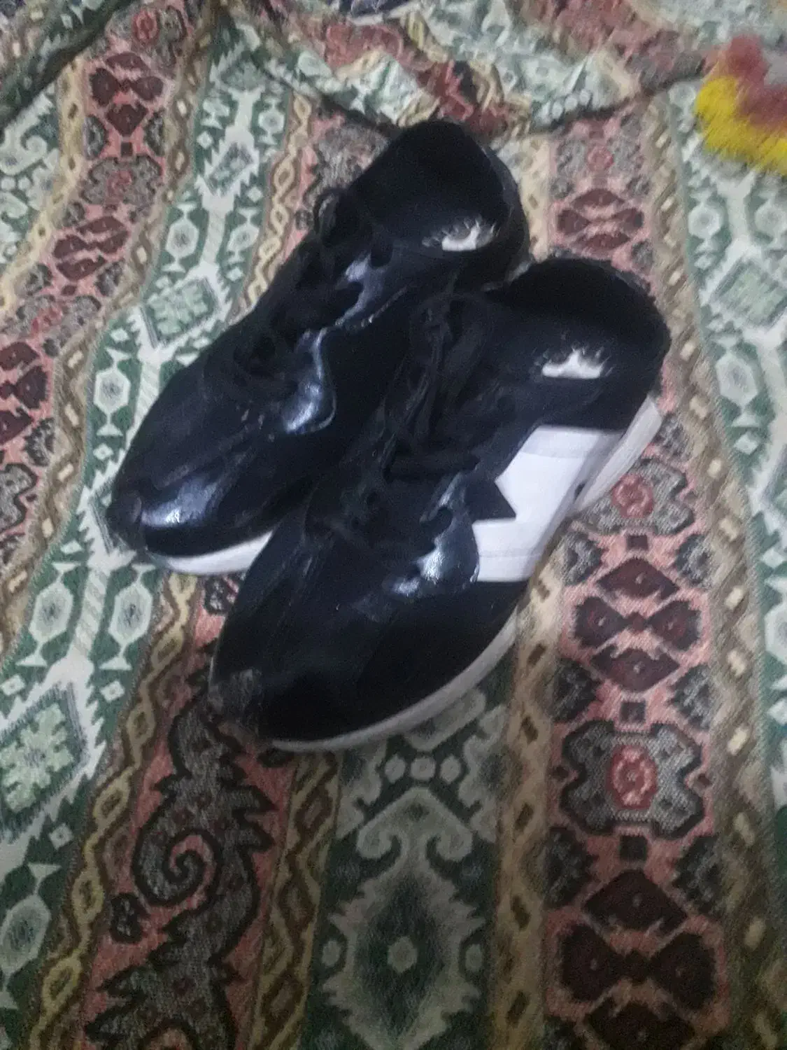 کفش دخترونه|کیف، کفش، کمربند|شیروان (خراسان), |دیوار