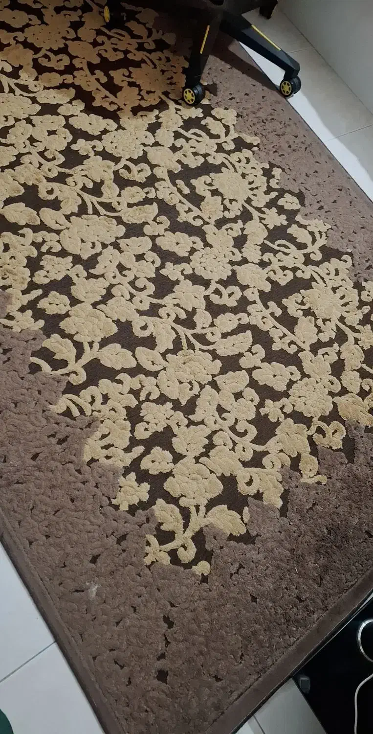 فرش و گلیم فرش|فرش|بندرعباس, |دیوار