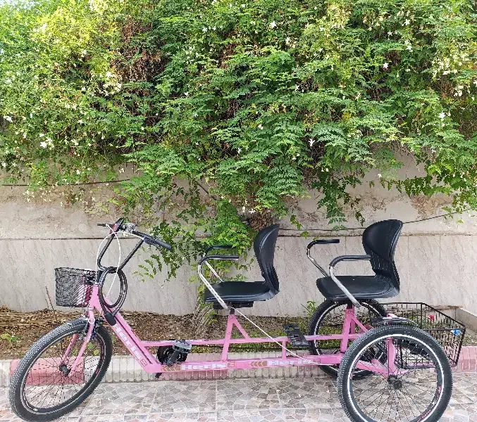 فروش سه چرخه دو نفره صورتی|دوچرخه، اسکیت، اسکوتر|شیراز, پادگان ولیعصر|دیوار
