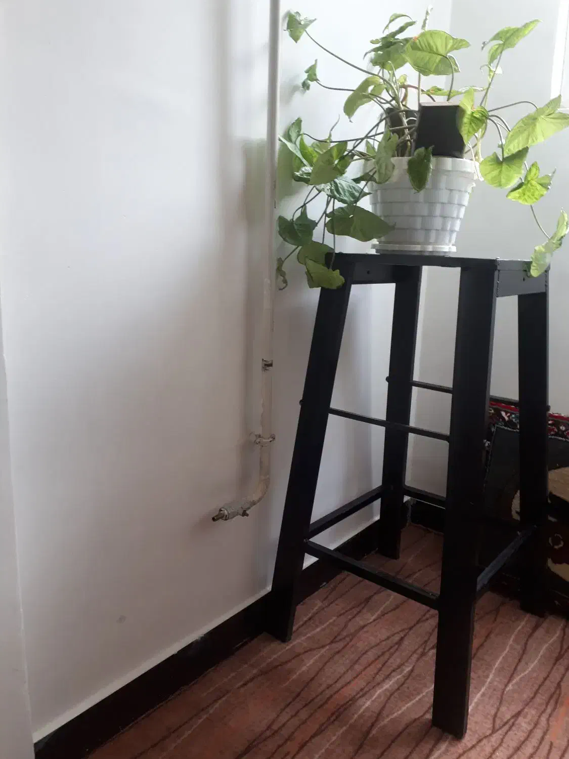 چهار پایە|صندلی و نیمکت|سنندج, |دیوار