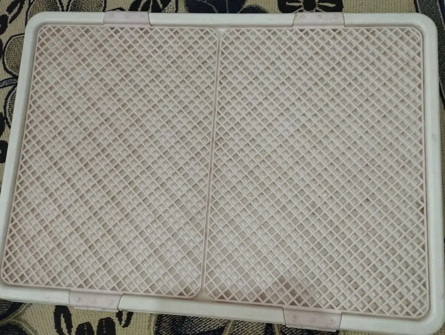 وسایل سگ|لوازم جانبی حیوانات|شیراز, کوشک میدان|دیوار