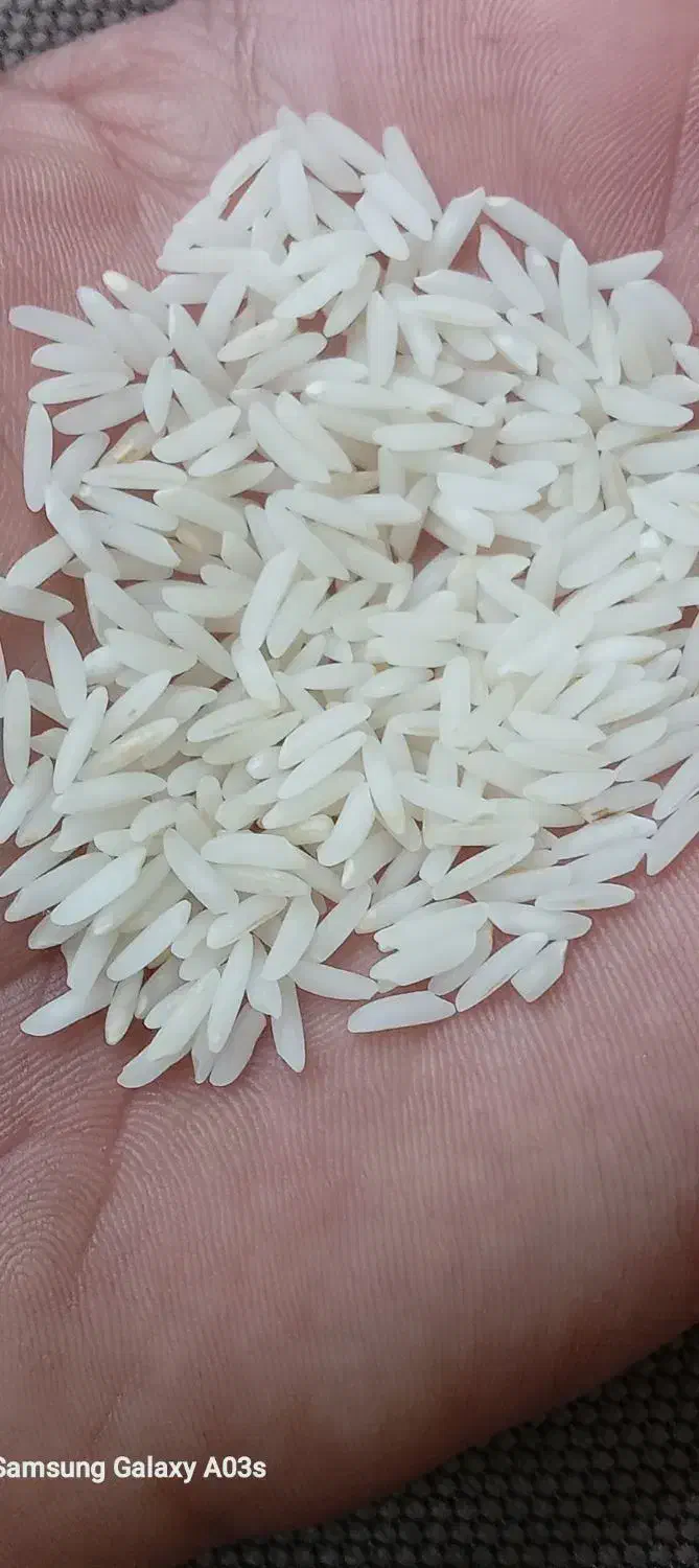 طارم هاشمی محلی اصل.|خوردنی و آشامیدنی|تهران, بوستان سرخه حصار|دیوار