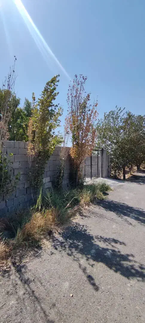 باغچه و باغ خوش آب و هوا/ منطقه امن /قابل ساخت|فروش زمین و ملک کلنگی|تهران, نازیآباد|دیوار