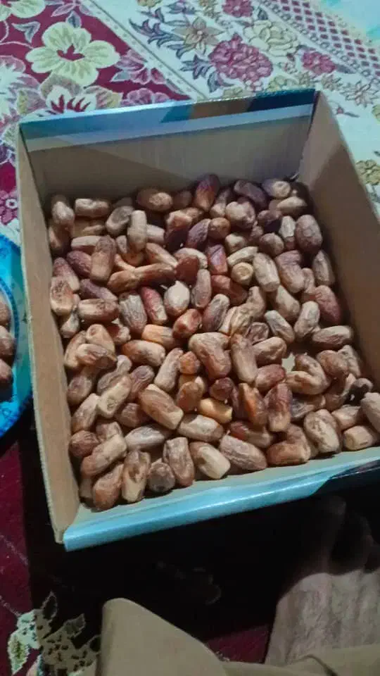 خرما درجه یک|عمده‌فروشی|سراوان, |دیوار