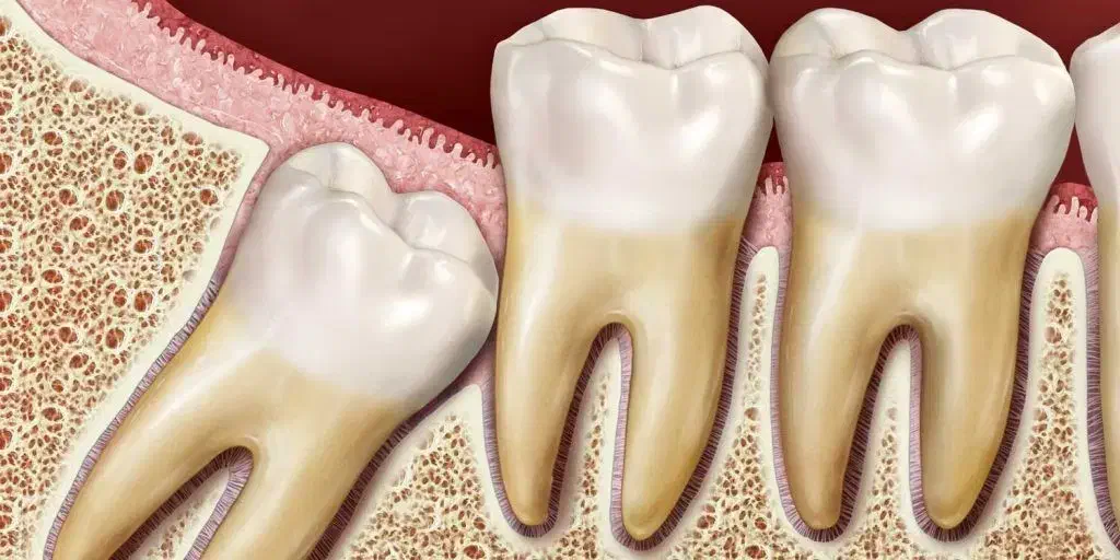 نمونه تمرینی برای دانشجویان دندان پزشکی|پزشکی|همدان, |دیوار