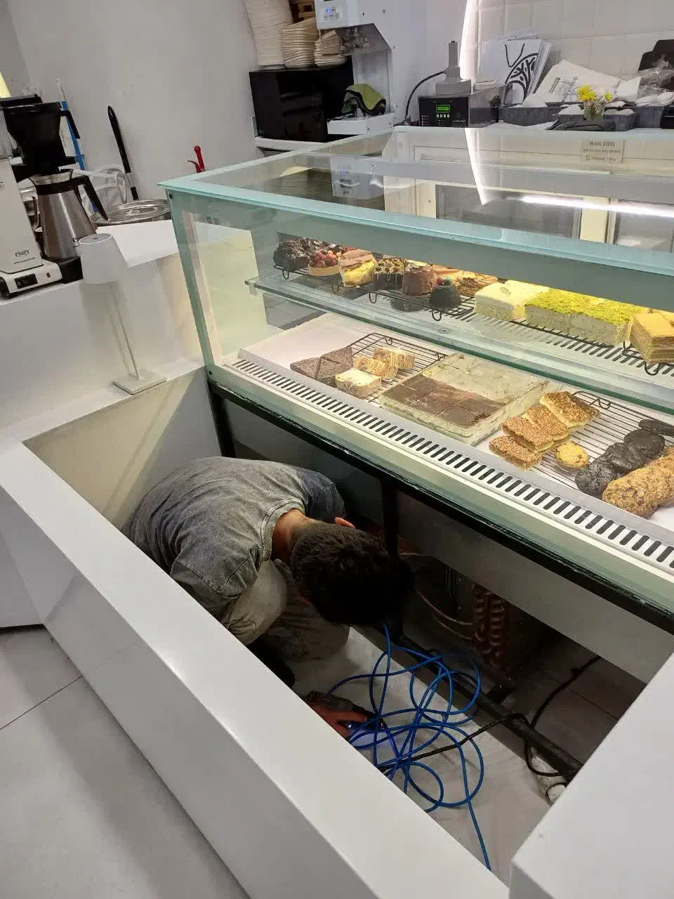 تعمیر و نصب یخچال|خدمات پیشه و مهارت|تهران, پاسداران|دیوار