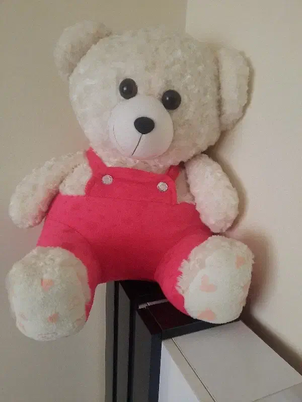 خرس پولیشی|اسباب‌بازی بچه|تهران, علی‌آباد|دیوار