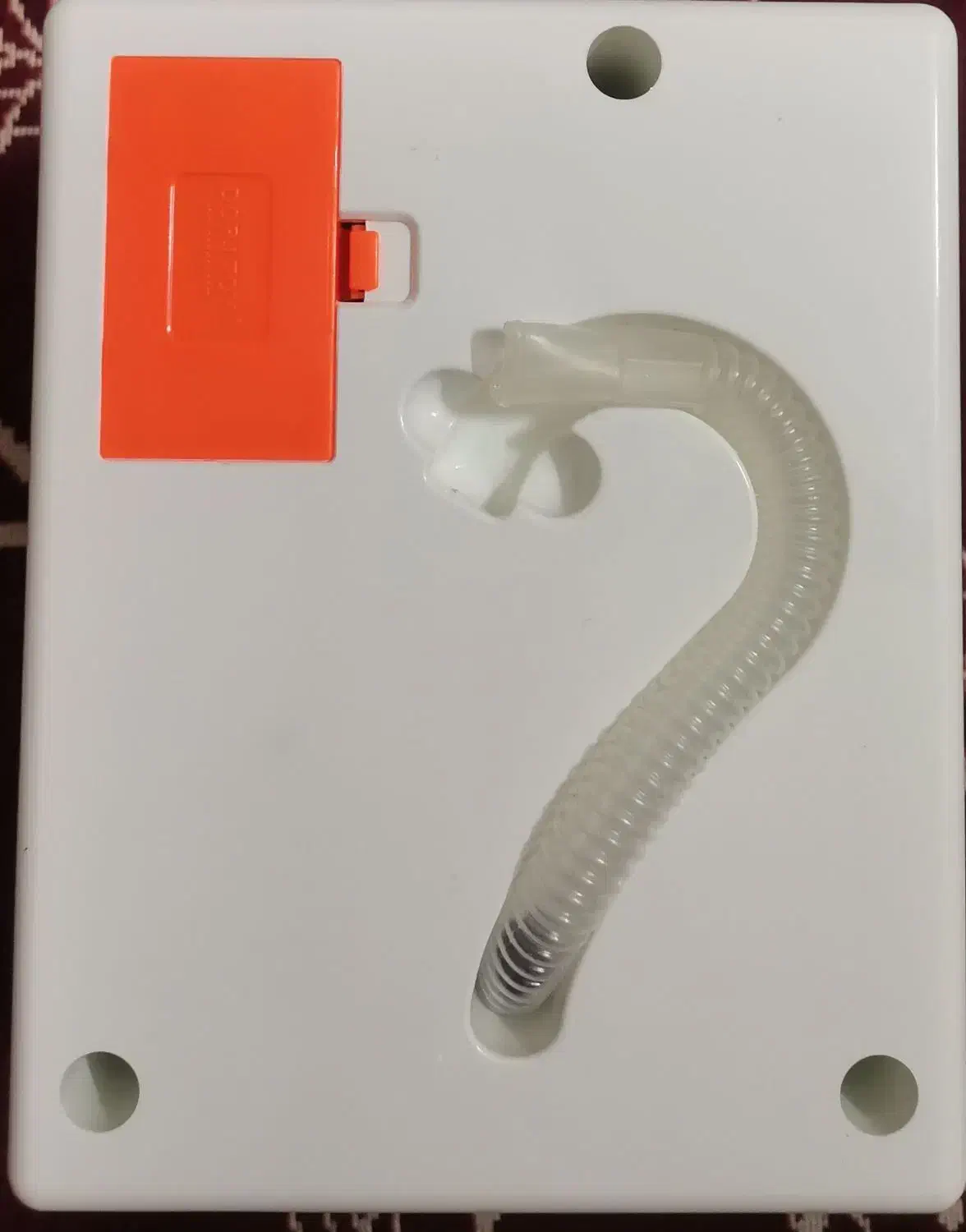 250|اسباب‌‌بازی|گنبد کاووس, |دیوار