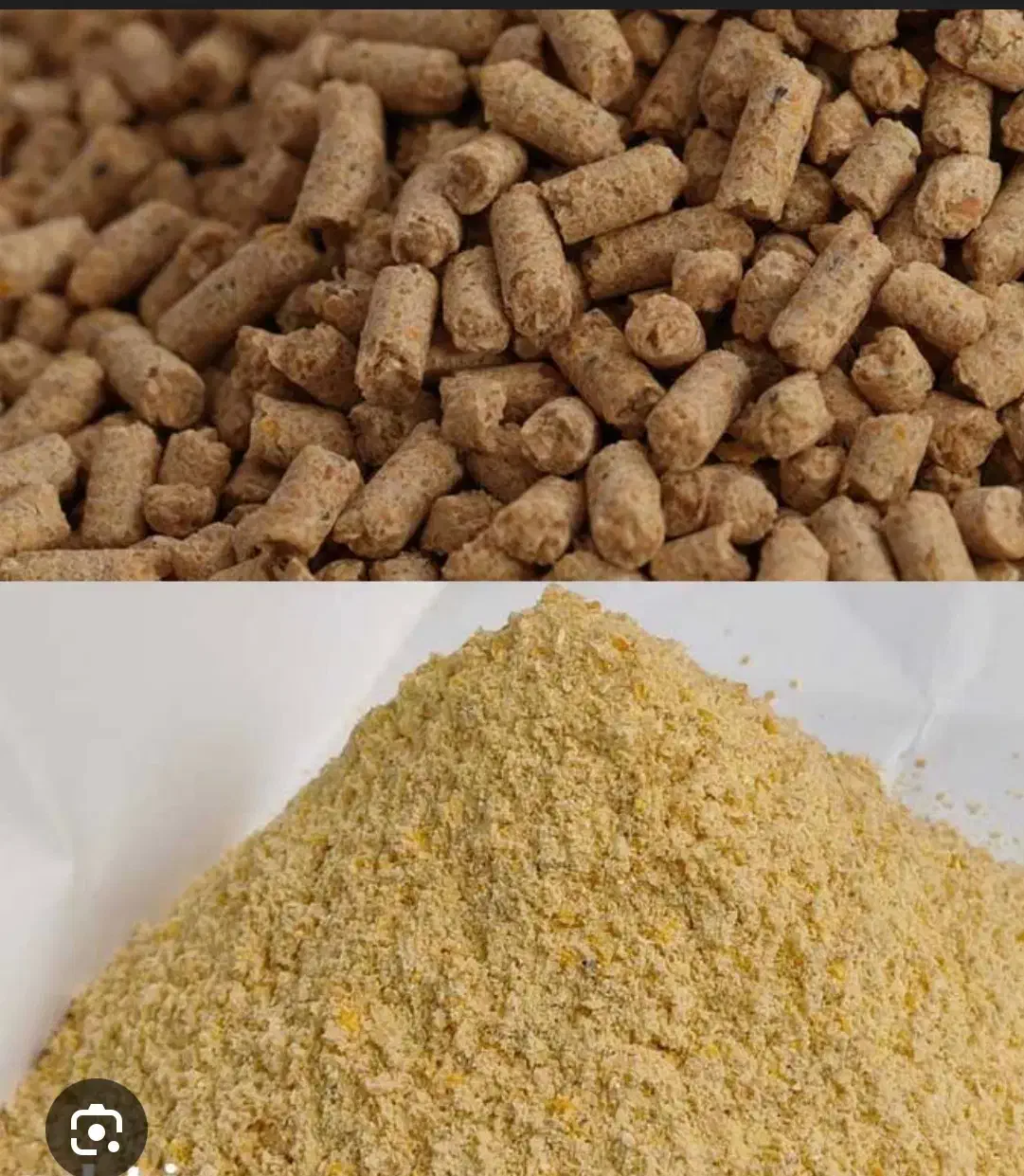 کنسانتره مش وپلیت شیری و پرواری سبوس جو دزت|عمده‌فروشی|گلپایگان, |دیوار