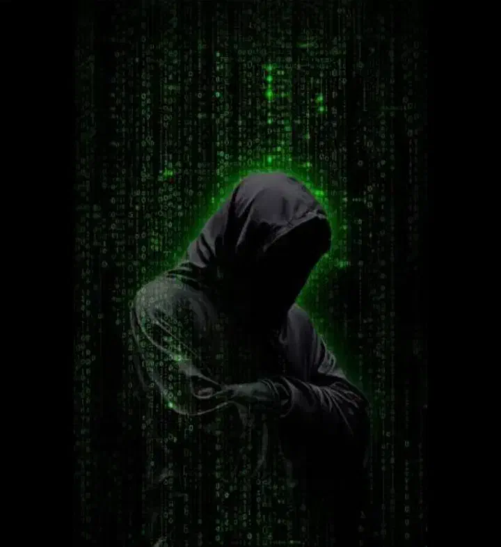 بازگرادنی پیج های اینستاگرام. فالور اینستاگرام|حراج|پاکدشت, پاکدشت (مامازند)|دیوار