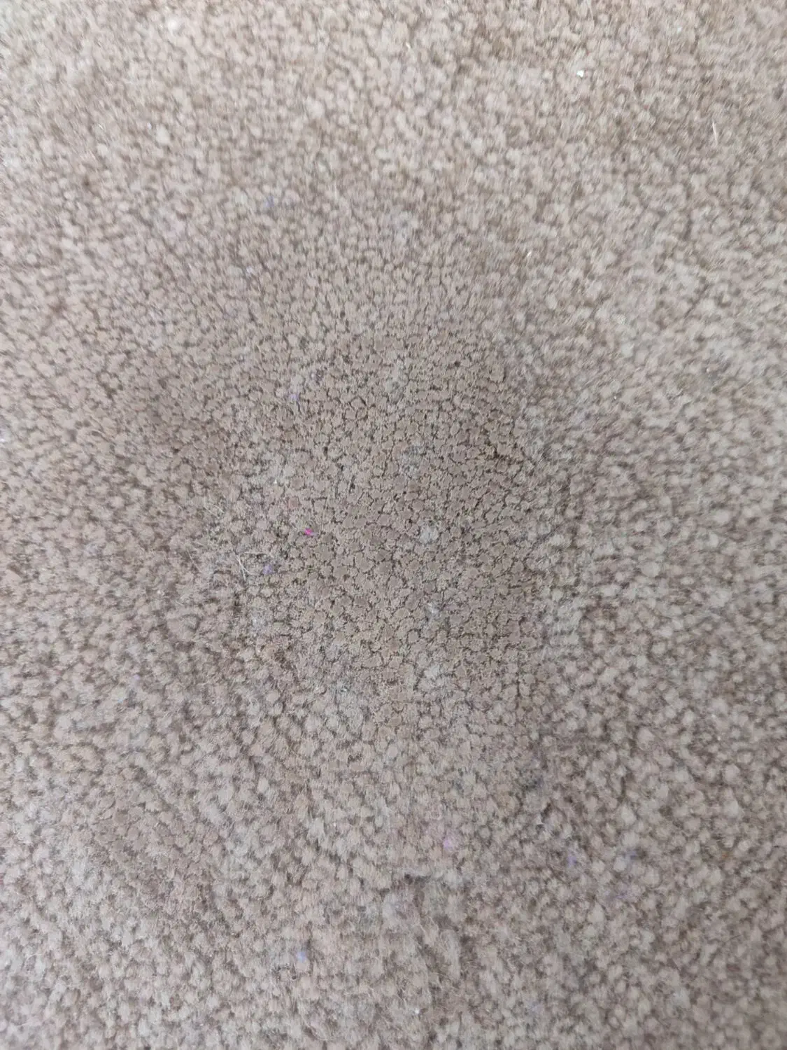 گلیم فرش ۳در۴|گلیم، جاجیم، گبه|قم, گلزار|دیوار