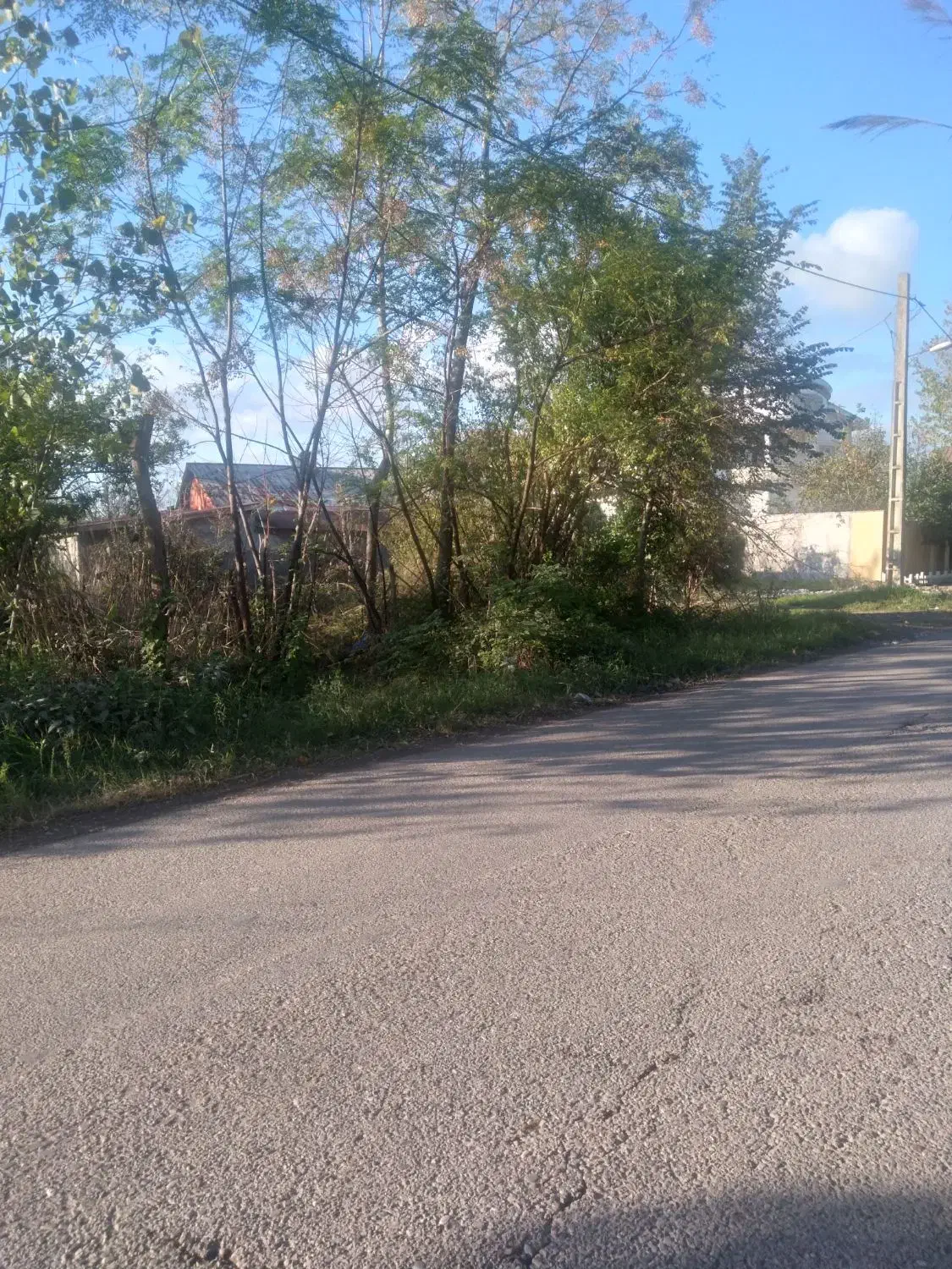 کلنگی ۲۴۸ متری با کنتور آب و برق اطراف کوچصفهان|فروش خانه و ویلا|رشت, بلوار گیلان|دیوار