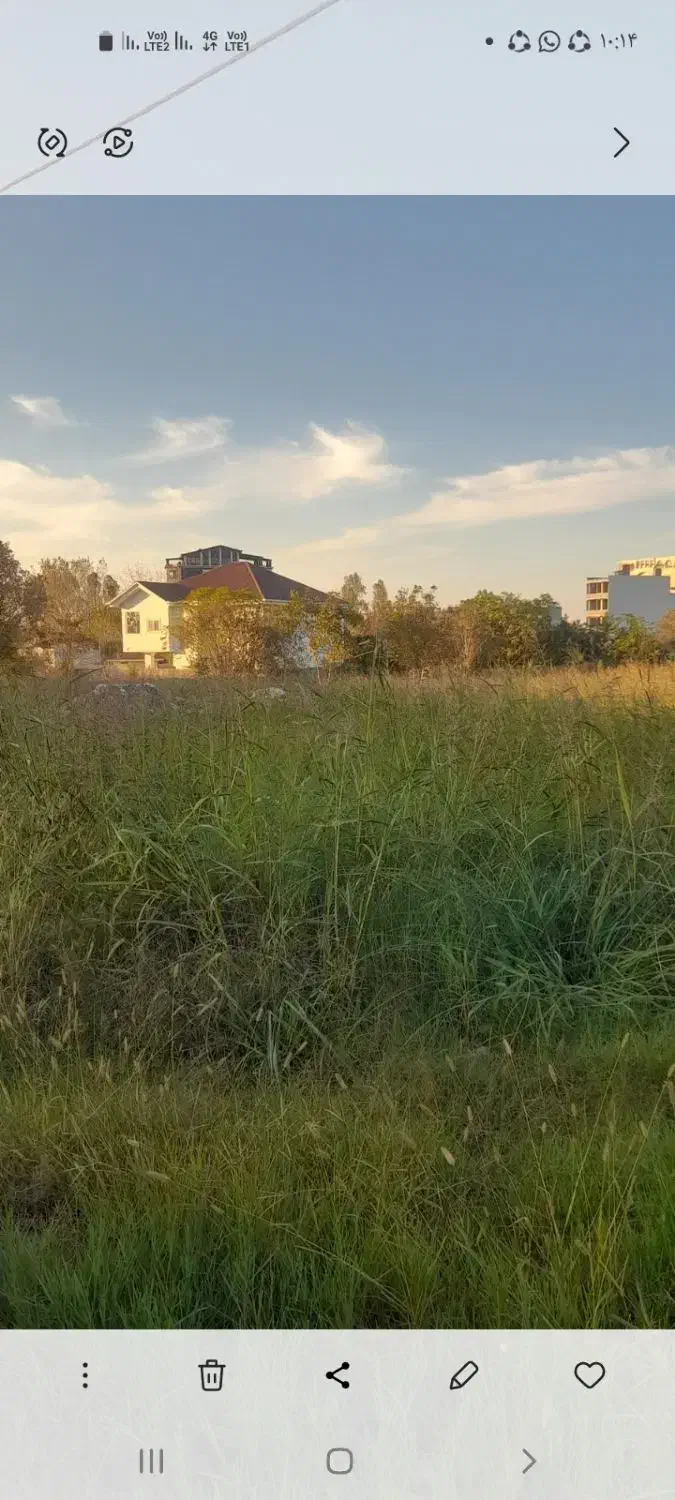 ۲۴۰۰ متر زمین در بام وارتفاع مازو پشته|مشارکت در ساخت املاک|چالوس, |دیوار