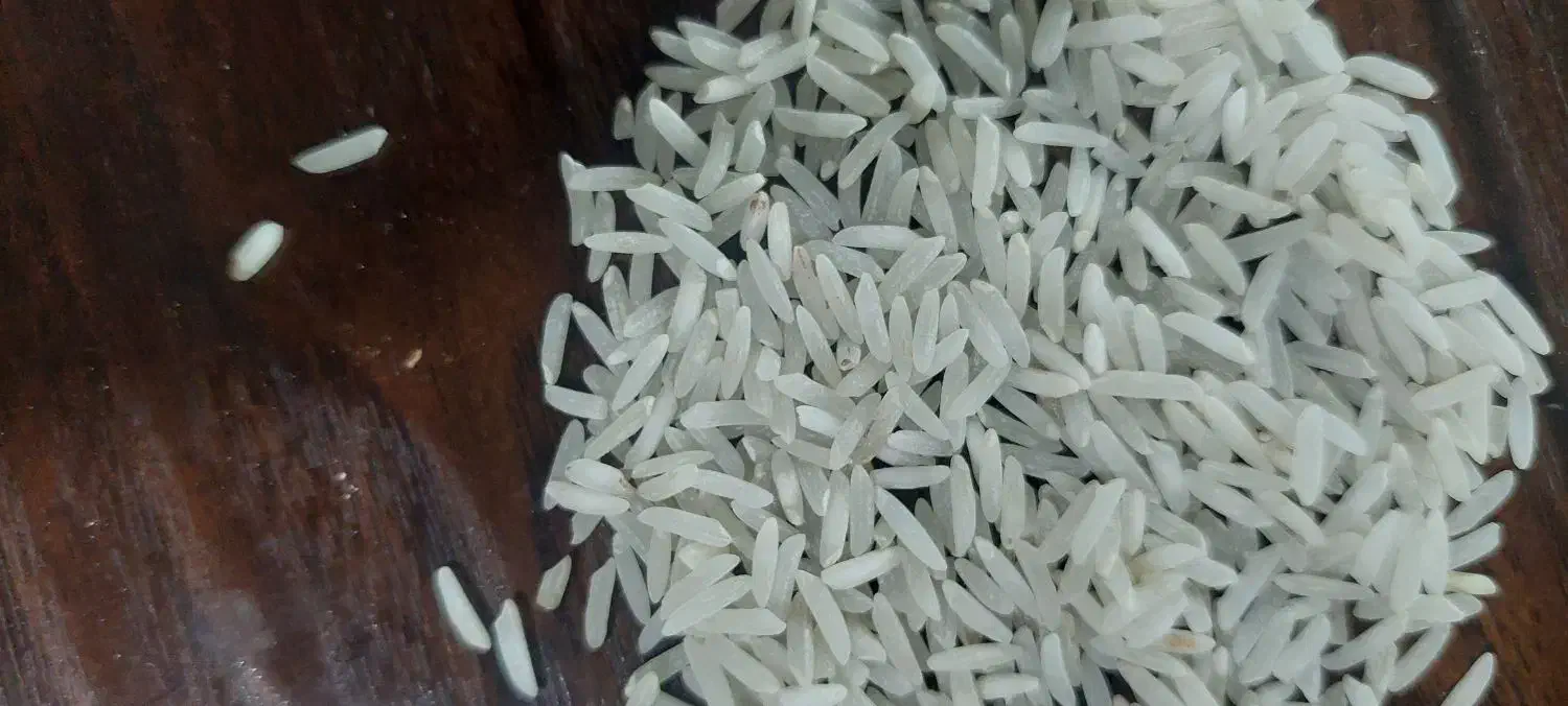 برنج فجرمحلی آب رودخانه یه شرط یکدست بودن|خوردنی و آشامیدنی|مشهد, هنرور|دیوار